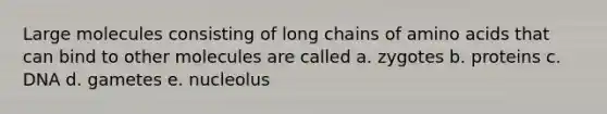 Large molecules consisting of long chains of amino acids that can bind to other molecules are called a. zygotes b. proteins c. DNA d. gametes e. nucleolus