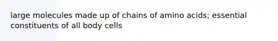 large molecules made up of chains of amino acids; essential constituents of all body cells