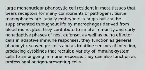 large mononuclear phagocytic cell resident in most tissues that bears receptors for many components of pathogens. tissue macrophages are initially embryonic in origin but can be supplemented throughout life by macrophages derived from blood monocytes. they contribute to innate immunity and early nonadaptive phases of host defense, as well as being effector cells in adaptive immune responses. they function as general phagocytic scavenger cells and as frontline sensors of infection, producing cytokines that recruit a variety of immune-system cells to an ongoing immune response. they can also function as professional antigen-presenting cells.