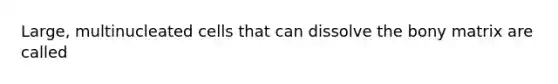 Large, multinucleated cells that can dissolve the bony matrix are called