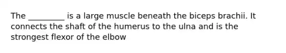 The _________ is a large muscle beneath the biceps brachii. It connects the shaft of the humerus to the ulna and is the strongest flexor of the elbow