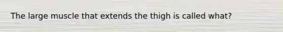 The large muscle that extends the thigh is called what?