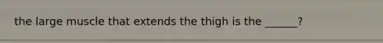 the large muscle that extends the thigh is the ______?