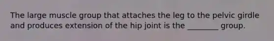 The large muscle group that attaches the leg to the pelvic girdle and produces extension of the hip joint is the ________ group.