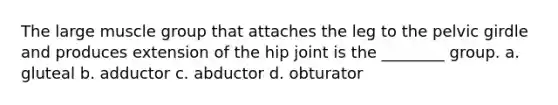 The large muscle group that attaches the leg to the pelvic girdle and produces extension of the hip joint is the ________ group. a. gluteal b. adductor c. abductor d. obturator