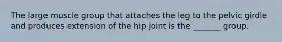 The large muscle group that attaches the leg to the <a href='https://www.questionai.com/knowledge/k9xWFjlOIm-pelvic-girdle' class='anchor-knowledge'>pelvic girdle</a> and produces extension of the hip joint is the _______ group.