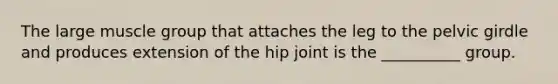 The large muscle group that attaches the leg to the pelvic girdle and produces extension of the hip joint is the __________ group.