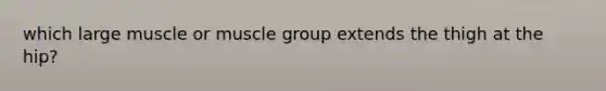 which large muscle or muscle group extends the thigh at the hip?