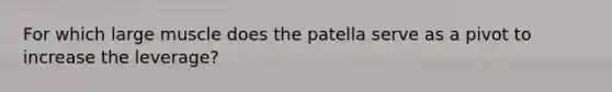 For which large muscle does the patella serve as a pivot to increase the leverage?