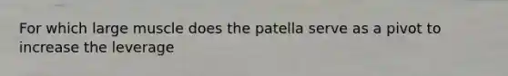 For which large muscle does the patella serve as a pivot to increase the leverage