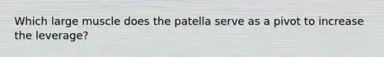 Which large muscle does the patella serve as a pivot to increase the leverage?