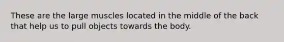 These are the large muscles located in the middle of the back that help us to pull objects towards the body.