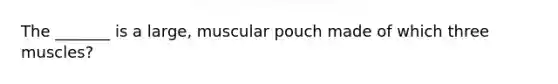 The _______ is a large, muscular pouch made of which three muscles?