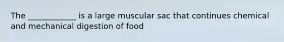 The ____________ is a large muscular sac that continues chemical and mechanical digestion of food