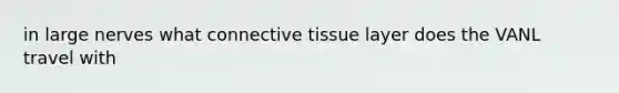 in large nerves what connective tissue layer does the VANL travel with