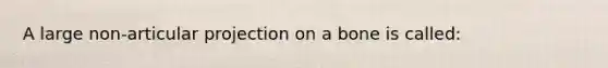 A large non-articular projection on a bone is called: