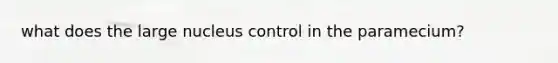 what does the large nucleus control in the paramecium?