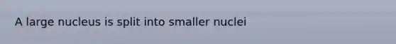 A large nucleus is split into smaller nuclei
