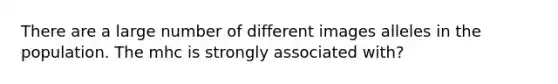 There are a large number of different images alleles in the population. The mhc is strongly associated with?