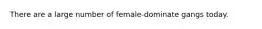 There are a large number of female-dominate gangs today.