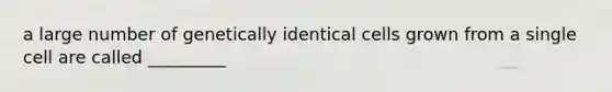 a large number of genetically identical cells grown from a single cell are called _________