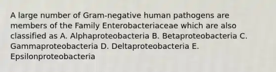 A large number of Gram-negative human pathogens are members of the Family Enterobacteriaceae which are also classified as A. Alphaproteobacteria B. Betaproteobacteria C. Gammaproteobacteria D. Deltaproteobacteria E. Epsilonproteobacteria