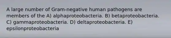 A large number of Gram-negative human pathogens are members of the A) alphaproteobacteria. B) betaproteobacteria. C) gammaproteobacteria. D) deltaproteobacteria. E) epsilonproteobacteria