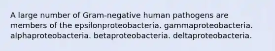 A large number of Gram-negative human pathogens are members of the epsilonproteobacteria. gammaproteobacteria. alphaproteobacteria. betaproteobacteria. deltaproteobacteria.