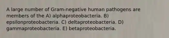 A large number of Gram-negative human pathogens are members of the A) alphaproteobacteria. B) epsilonproteobacteria. C) deltaproteobacteria. D) gammaproteobacteria. E) betaproteobacteria.