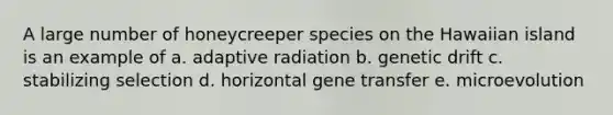 A large number of honeycreeper species on the Hawaiian island is an example of a. adaptive radiation b. genetic drift c. stabilizing selection d. horizontal gene transfer e. microevolution