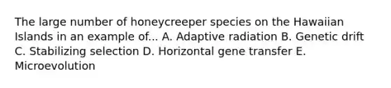 The large number of honeycreeper species on the Hawaiian Islands in an example of... A. Adaptive radiation B. Genetic drift C. Stabilizing selection D. Horizontal gene transfer E. Microevolution