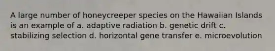 A large number of honeycreeper species on the Hawaiian Islands is an example of a. adaptive radiation b. genetic drift c. stabilizing selection d. horizontal gene transfer e. microevolution