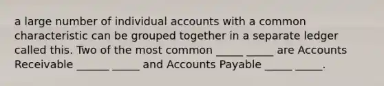 a large number of individual accounts with a common characteristic can be grouped together in a separate ledger called this. Two of the most common _____ _____ are Accounts Receivable ______ _____ and Accounts Payable _____ _____.