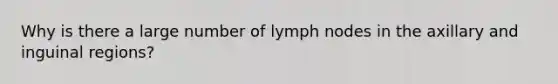 Why is there a large number of lymph nodes in the axillary and inguinal regions?