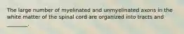 The large number of myelinated and unmyelinated axons in the white matter of the spinal cord are organized into tracts and ________.