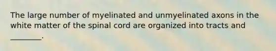 The large number of myelinated and unmyelinated axons in the white matter of the spinal cord are organized into tracts and ________.