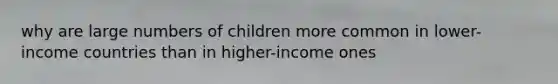 why are large numbers of children more common in lower-income countries than in higher-income ones