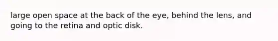 large open space at the back of the eye, behind the lens, and going to the retina and optic disk.