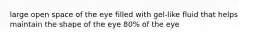 large open space of the eye filled with gel-like fluid that helps maintain the shape of the eye 80% of the eye