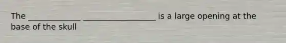 The _____________ __________________ is a large opening at the base of the skull