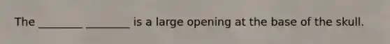 The ________ ________ is a large opening at the base of the skull.