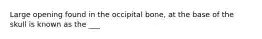 Large opening found in the occipital bone, at the base of the skull is known as the ___