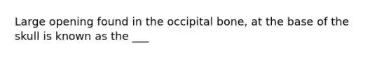 Large opening found in the occipital bone, at the base of the skull is known as the ___