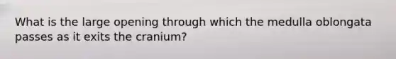 What is the large opening through which the medulla oblongata passes as it exits the cranium?