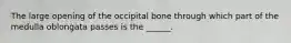 The large opening of the occipital bone through which part of the medulla oblongata passes is the ______.