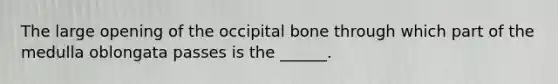 The large opening of the occipital bone through which part of the medulla oblongata passes is the ______.