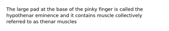 The large pad at the base of the pinky finger is called the hypothenar eminence and it contains muscle collectively referred to as thenar muscles