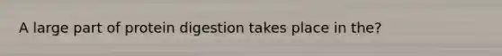 A large part of protein digestion takes place in the?