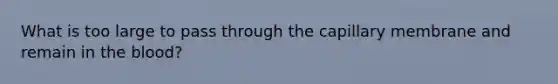 What is too large to pass through the capillary membrane and remain in the blood?