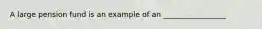 A large pension fund is an example of an _________________